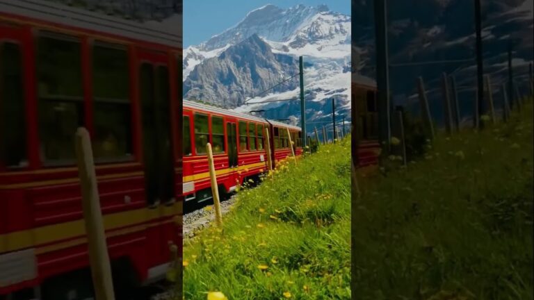 You don't want to miss this scenic train ride this summer 2023! Jungfrau Top of Europe