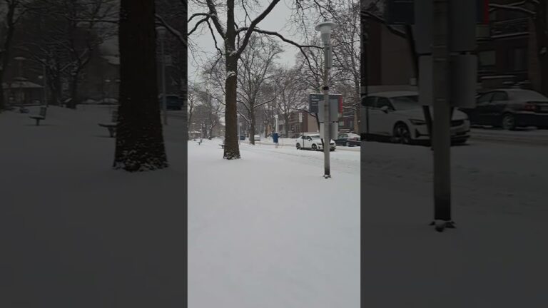 Montreal this week 🥶 🧊 ☃️ #montreal #canada canada #quebec Quebec #neige #snow  #beautiful  #nature