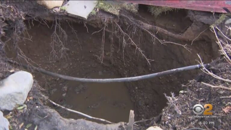Long Island residents fall into sinkhole in front yard