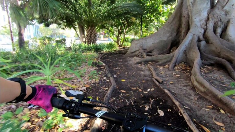 Detour through Perth CBD on the bike: play, cruise and skills. Short video. Western Australia