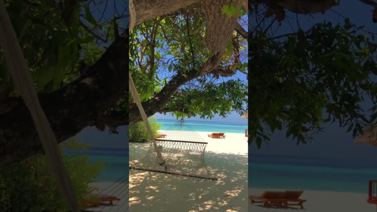 Maldives – New video coming soon on the channel, stay tuned 👙🥽🏝️🇲🇻☀️
