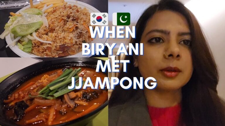 🇰🇷How to make Korean Friend | Biryani met Jjampong | Trip to Korea EP 9 #koreanfood #biryani #korea