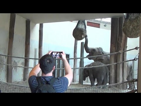 3D BUDAPEST ZOO Budapest, Hungary – Side by Side 3D