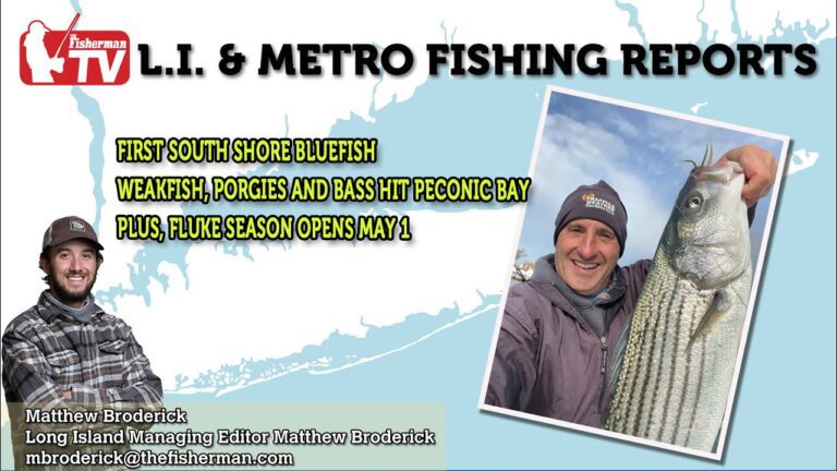 April 27, 2023 Long Island Metro Fishing Report with Matthew Broderick