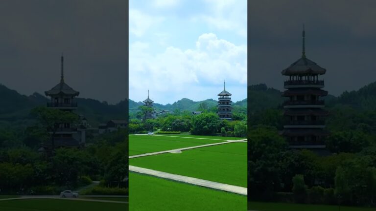 广西玉林五彩田园,有个隆平高科杂交水稻种植示范基地,承载着希望与梦想,袁老一路走好!#寻找最美旅行地#shorts #travel @MRINDIANHACKER @Realheart.N