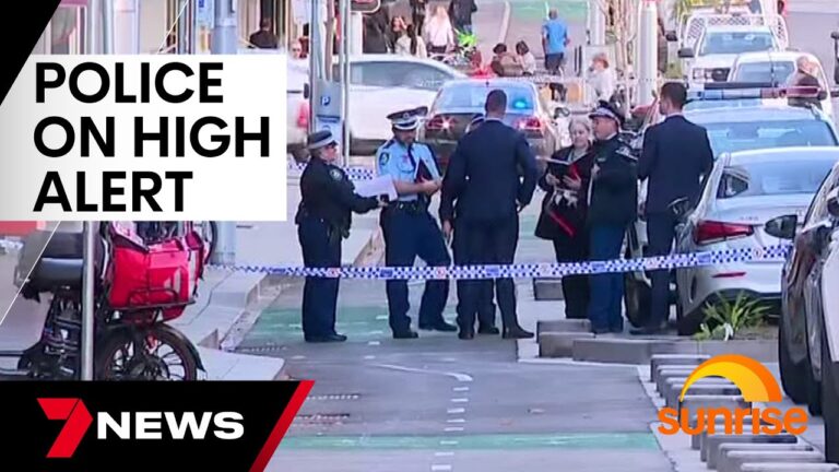 NSW police on high alert after dozens of 'Kill Cars' seized | 7 News Australia