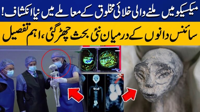 'Ufologist' Unveiled 2 Alien Corpses to Mexican Congress | Shocking Report  Goes Viral | Capital TV