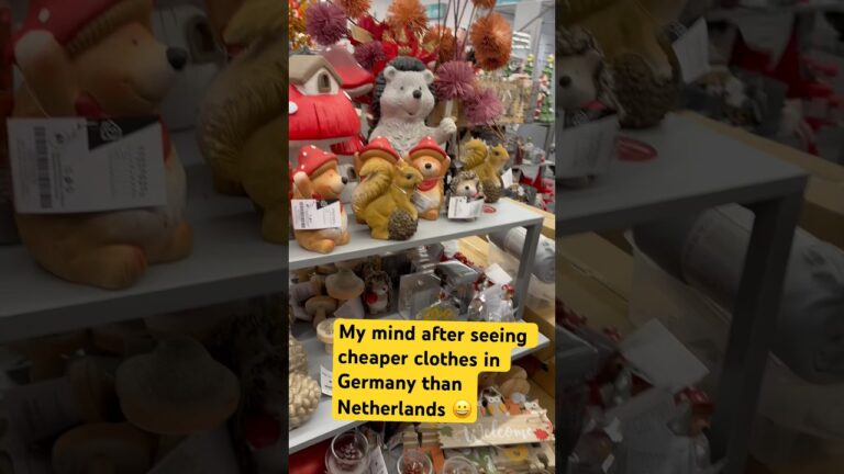 जर्मनी स्वस्त आहे😳 🤔 #ytindia #shorts#germany #netherlands #chaleya  #shortsfeed #ytindia #travel