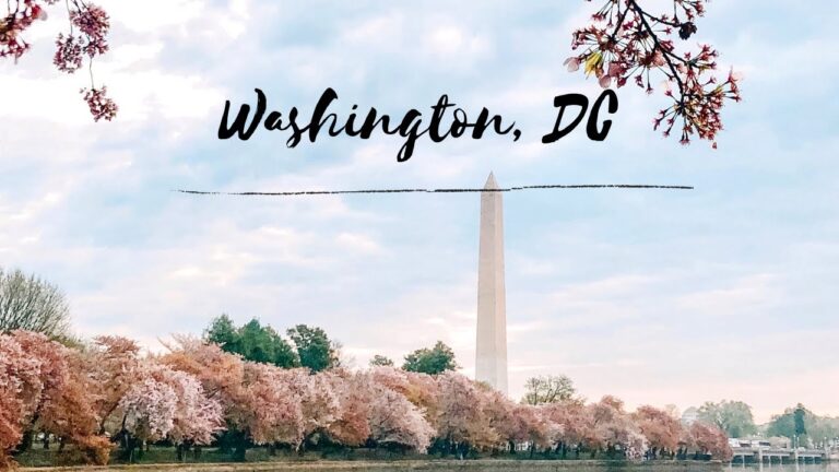 LIVING ALONE IN USA: J1 INTERN | How to travel alone (Washington, DC) • Cherry Blossom Experience
