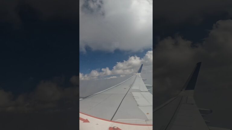 My Dad's first flight experience| Mere Dad ka pehla flight experience