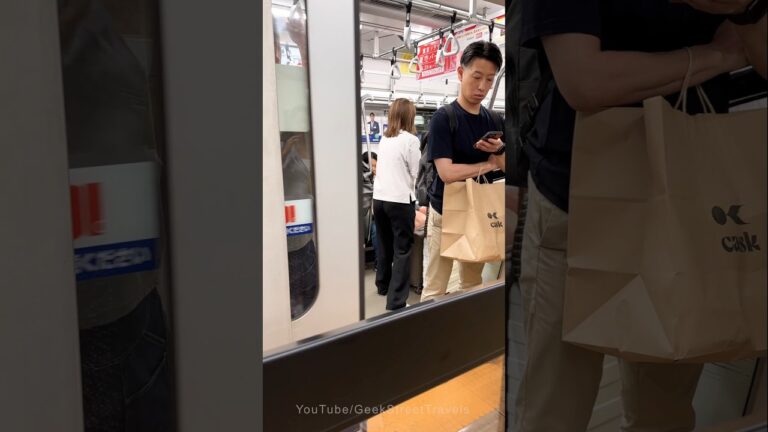 The Tokyo Subway TRUTH No One Wants to Admit
