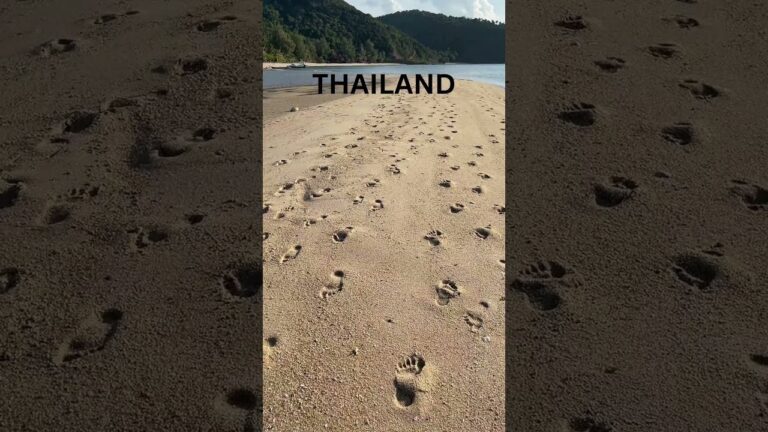 Exotic Vacation Thailand #facts #5places #travel #vacation #visit #thailand #travellife #shorts