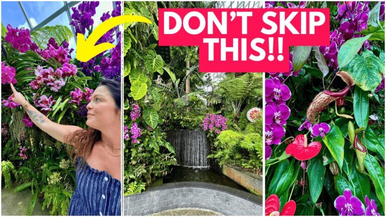 I found my FAVORITE place in Singapore! Gardens by the Bay 2025