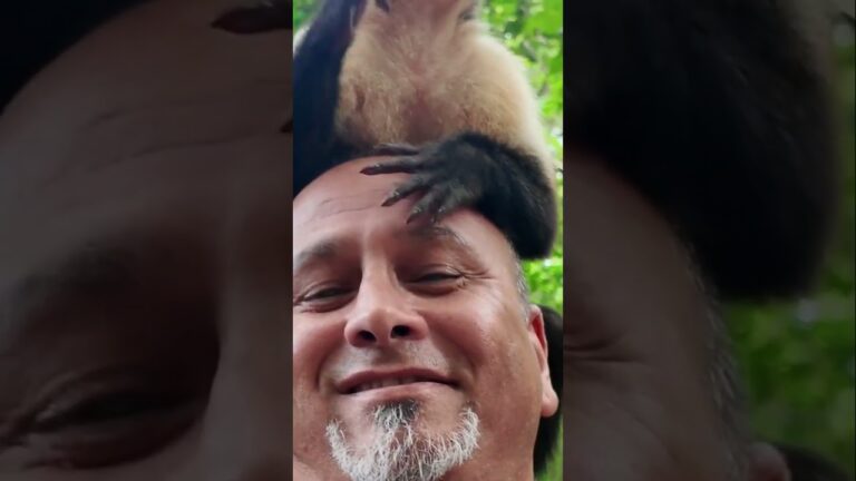“Monkeying Around: The Ultimate Selfie Moment!”