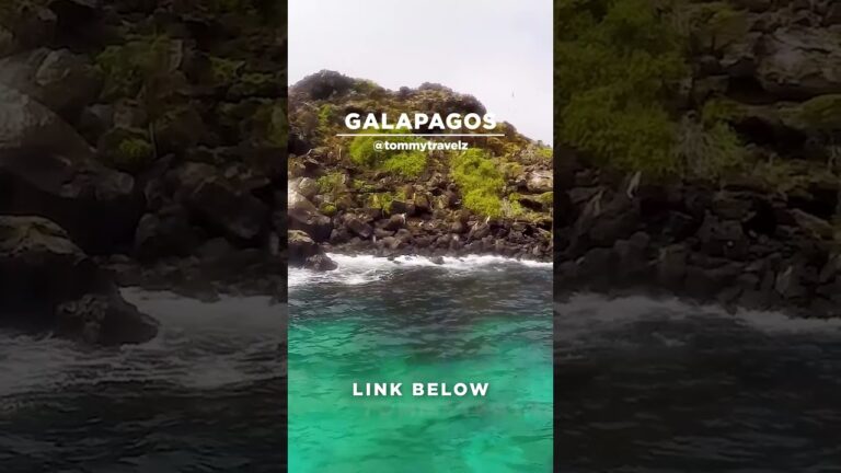 #TommyTravelz #travelnow #traveltips #galapagos #sancristobal #santacruz #islabaltra #isabelaisland