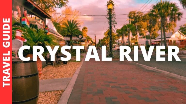 Crystal River Florida Travel Guide: 16 BEST Things To Do In Crystal River FL