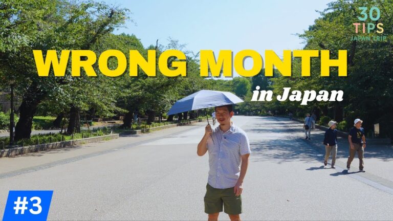 When to Visit Japan: A Local's Guide to the BEST & WORST Seasons