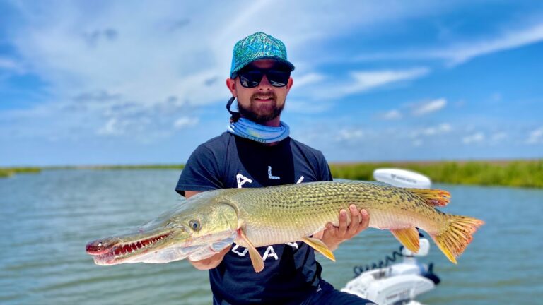 I Caught a Giant ALLIGATOR GAR In Grand isle Louisiana