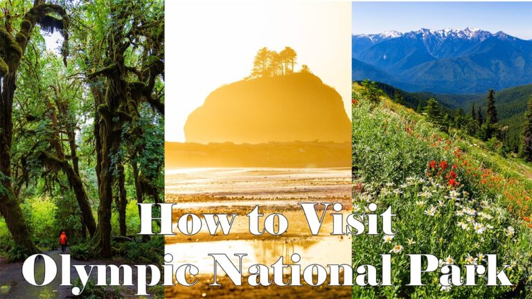 How to Plan a Trip to Olympic National Park (Everything You Need to Know)