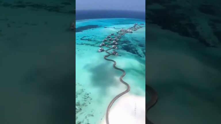 Maldives maldive shorts #viral #shorts