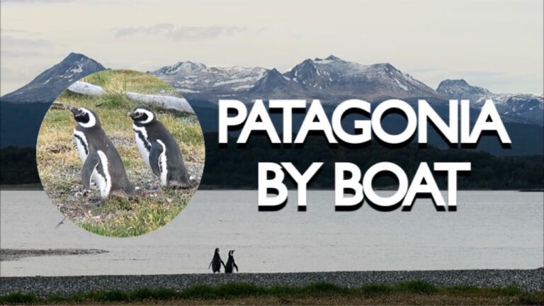 A Boat Trip in Patagonia to View Penguins on the Beagle Channel near Ushuaia